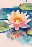 Water Lily II