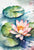 Water Lily V