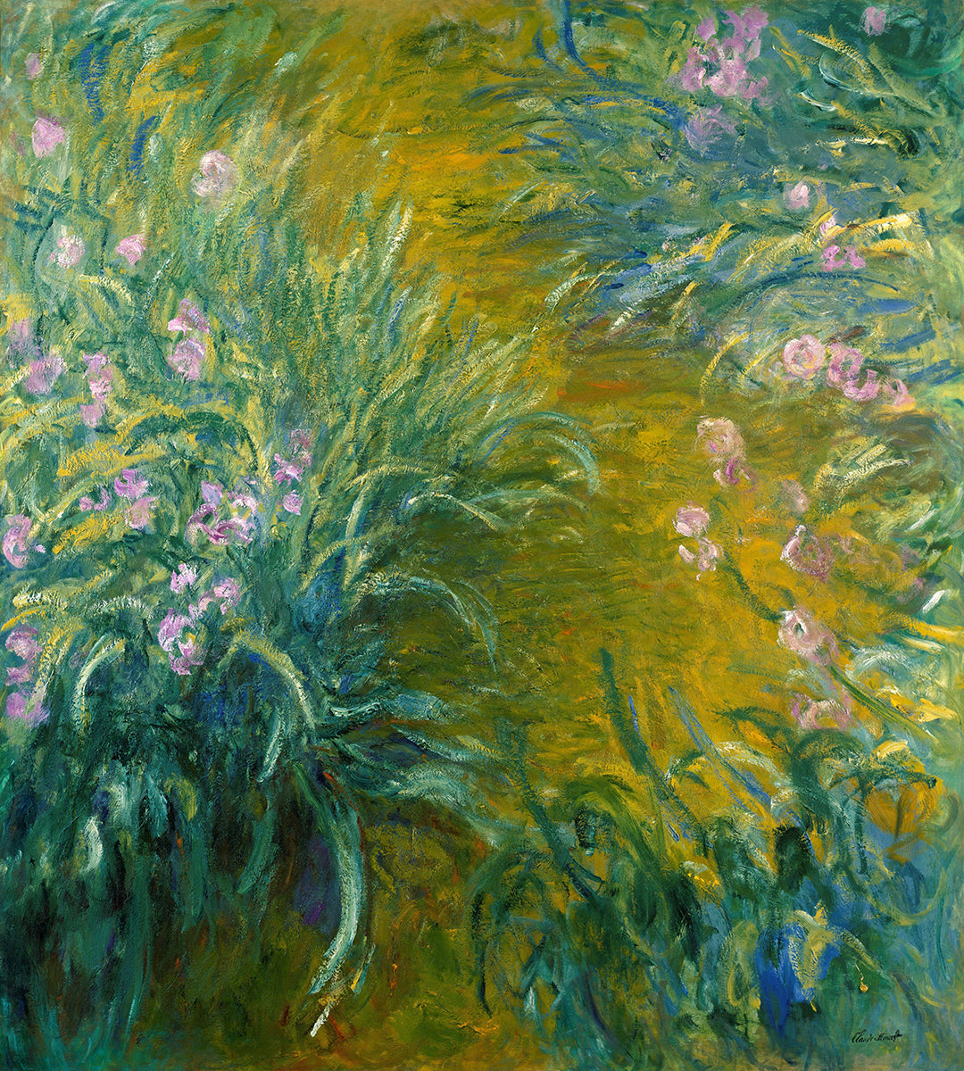 Der Pfad durch die Schwertlilien