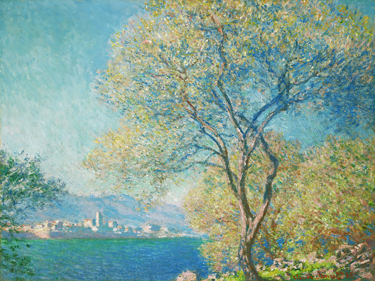 Antibes, gesehen von La Salis