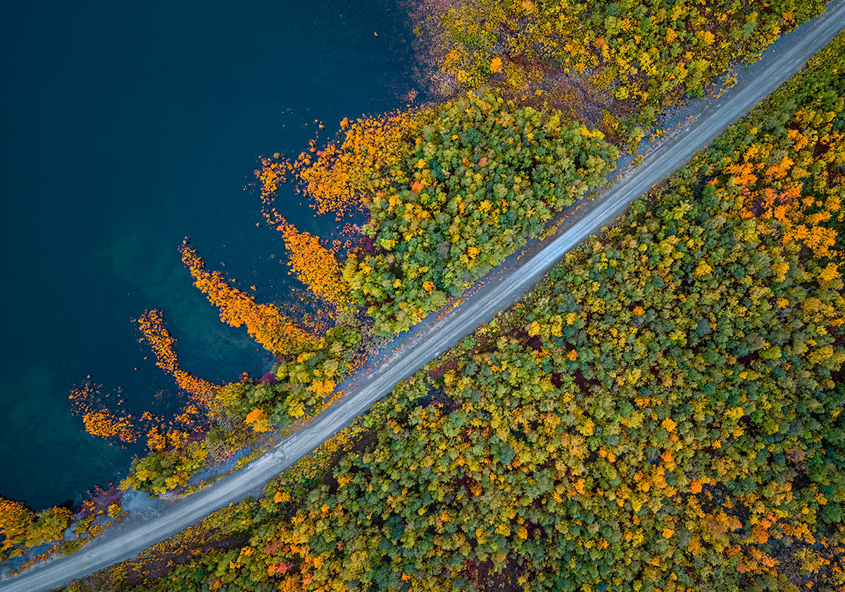 Lappland Stora Sjöfallet Colors