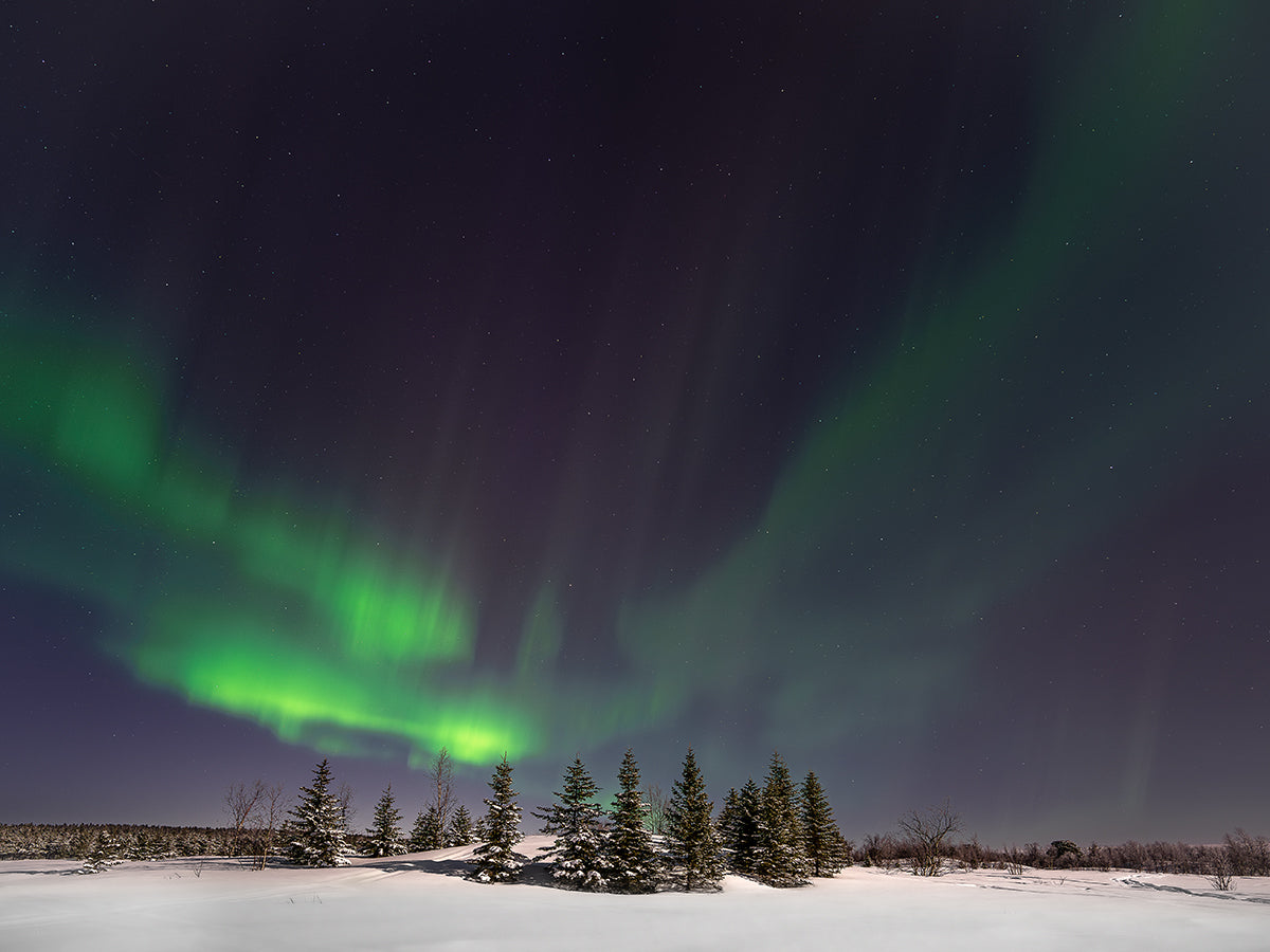 Lappland Polarlichter I
