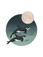 Orcas Moonlight Caravan