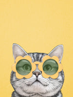 Mellow Yellow Cat