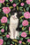 Tuxedo Cat in the Peonies