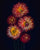 Floral Fireworks