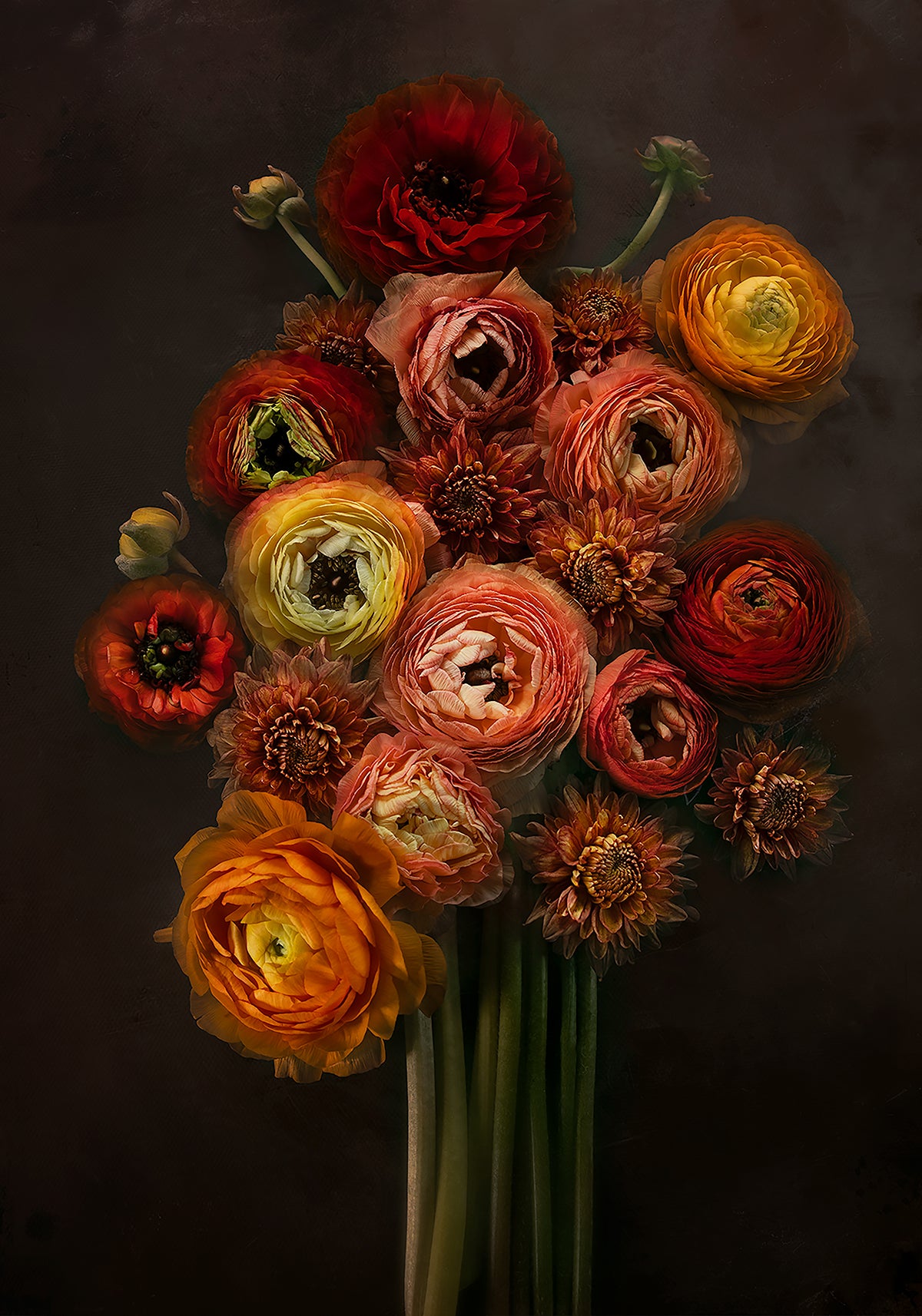Autumn Blooms