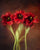 Tulip Trio