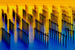 Oyster sheds light and shadow water flow