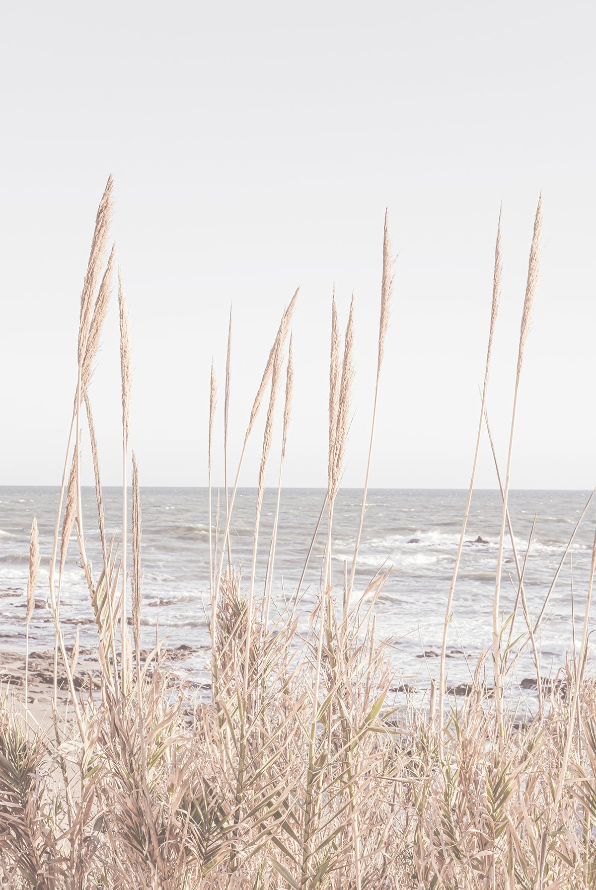 Beach Vass I