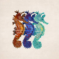 Seahorse Symphony