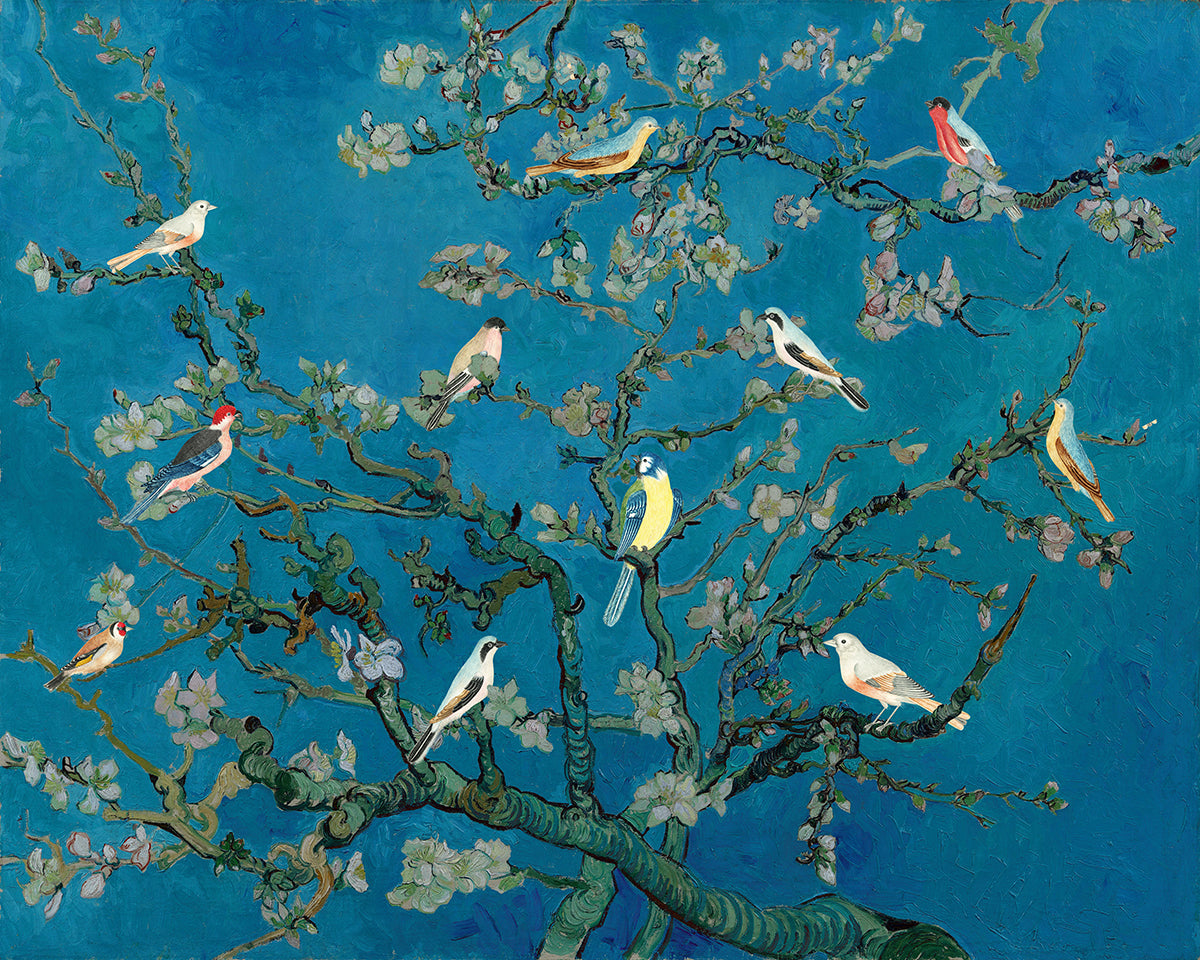 Birds In the Almond Blossom