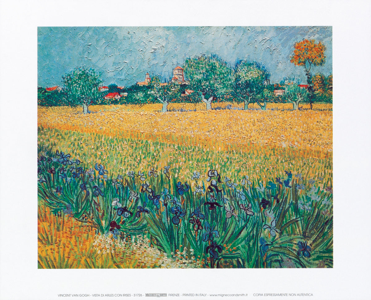 Vincent Van Gogh - Vista di Arles con irises