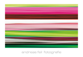 Andreas Feil - Fotografie II
