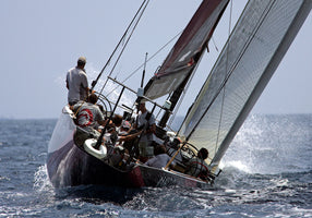 Alinghi 11