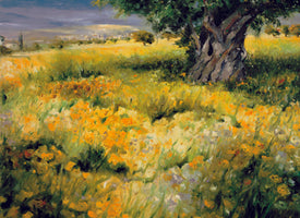 Christian Sommer - Sommerbaum