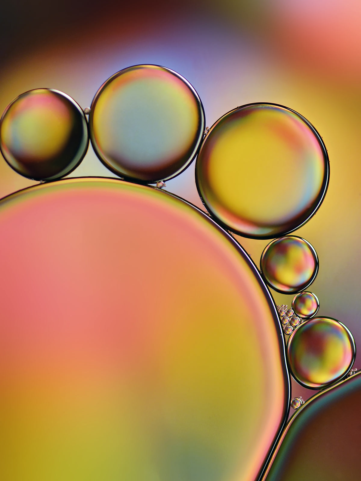 Multicolor Shimmer