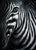 Jutta Plath - Zebra I