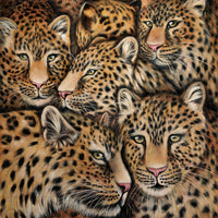 Jutta Plath - Leopardenmix