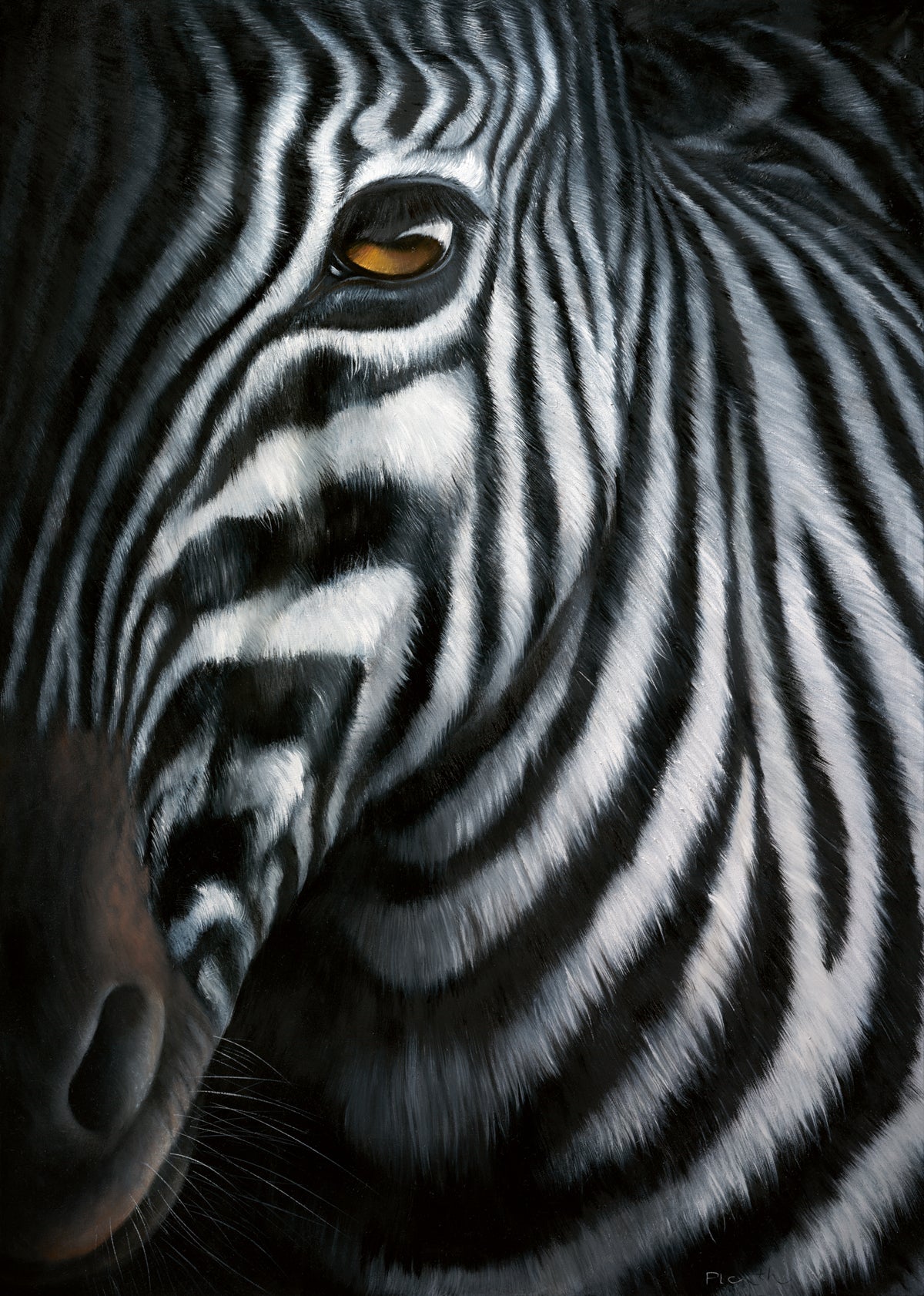 Jutta Plath - Zebra I