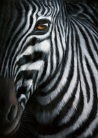 Jutta Plath - Zebra I