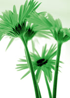 Kirsten Riedt - Rendez-vous I