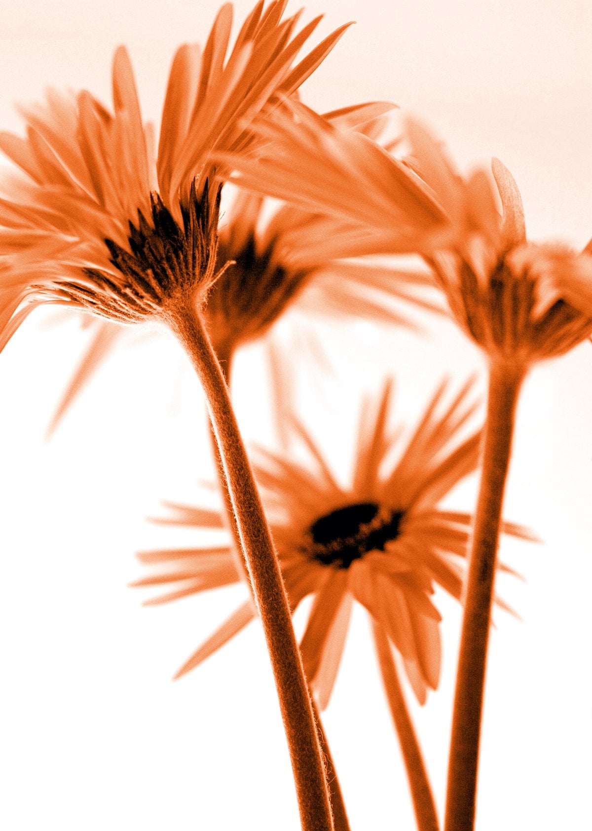 Kirsten Riedt - Rendez-vous II