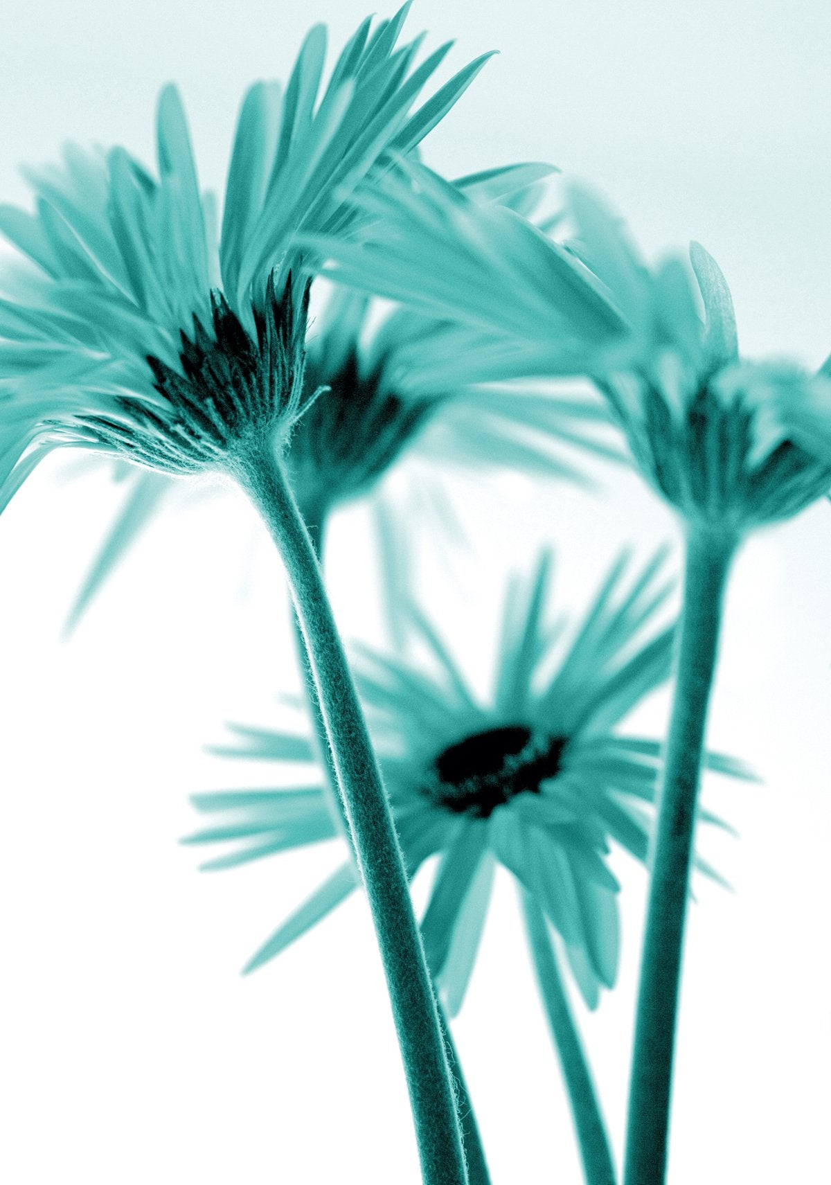 Kirsten Riedt - Rendez-vous III