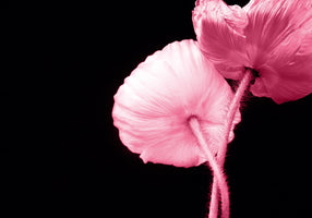 Kirsten Riedt - Umschlungen