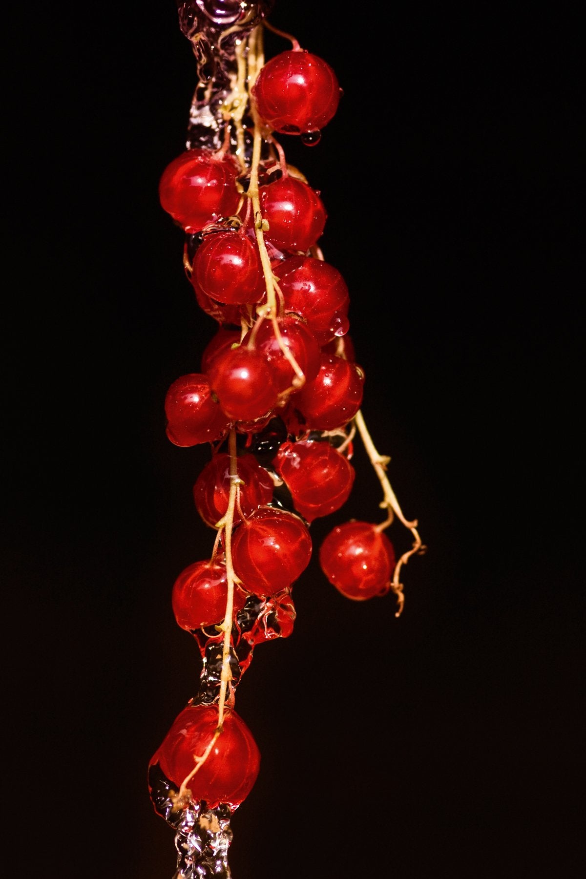 Kirsten Riedt - Johannisbeere