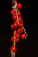 Kirsten Riedt - Johannisbeere