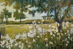 Patrick - Summer Bloom