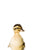 Baby Duck