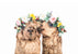 Boho Alpacas