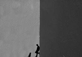 Time for a walk
