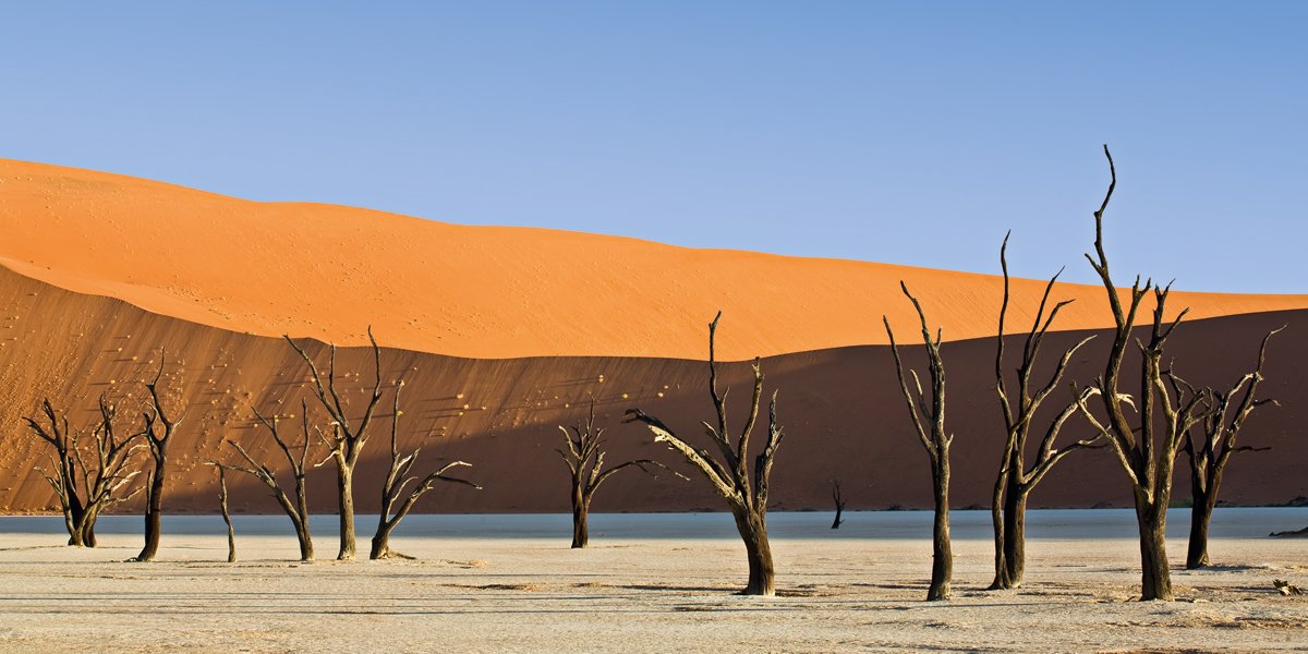 Rainer Mirau - Dead Vlei