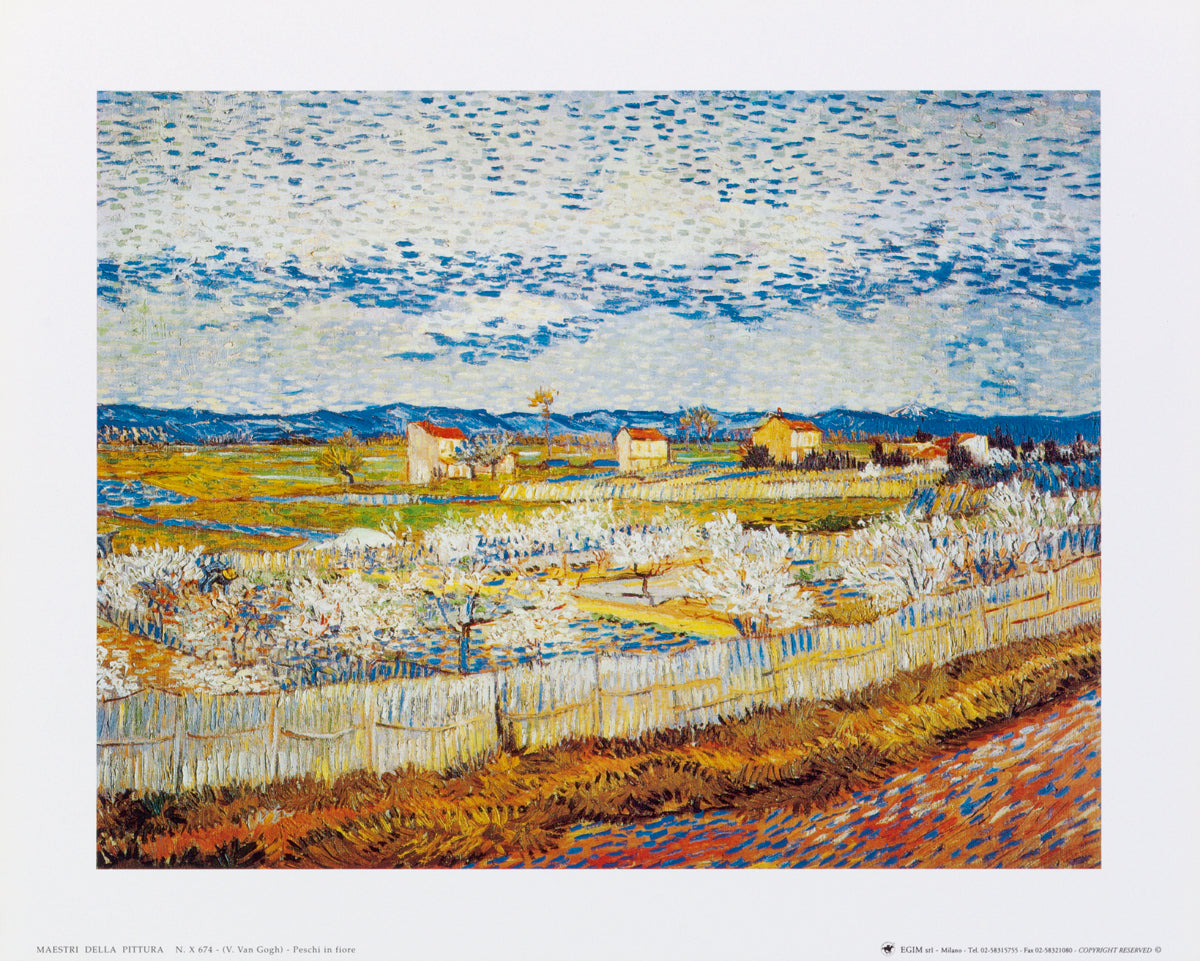 Vincent Van Gogh - Pesco in fiore