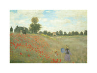 Les coquelicots