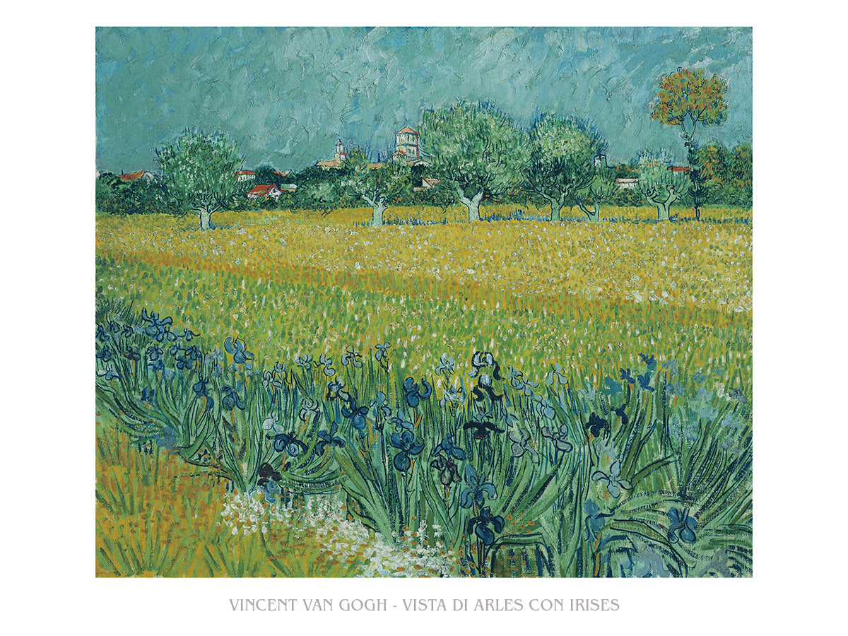 Vista di Arles con irises