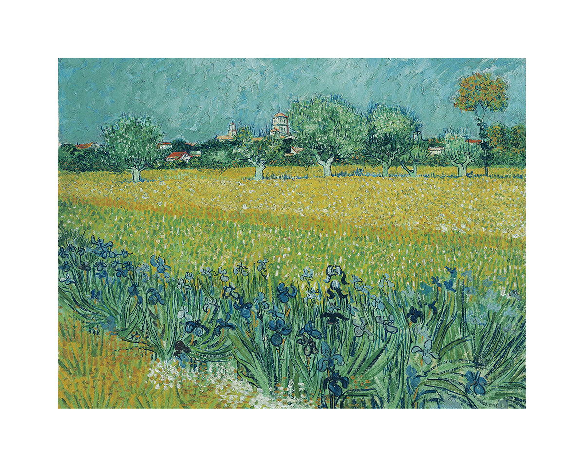 Vista di Arles con irises