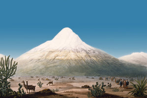 Le Chimborazo vu depuis le plateau de Tapia