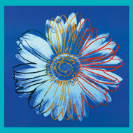 Daisy, 1982