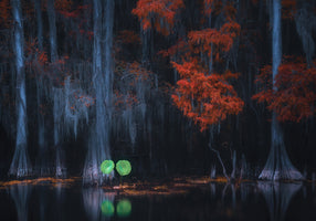 Caddo Lake 10