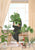My Little Garden II