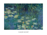 Ninfee dell'Orangerie