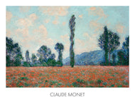 Field of Poppies