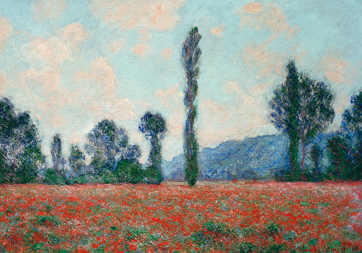 Campo di papaveri