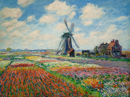 Champs de tulipes en Hollande