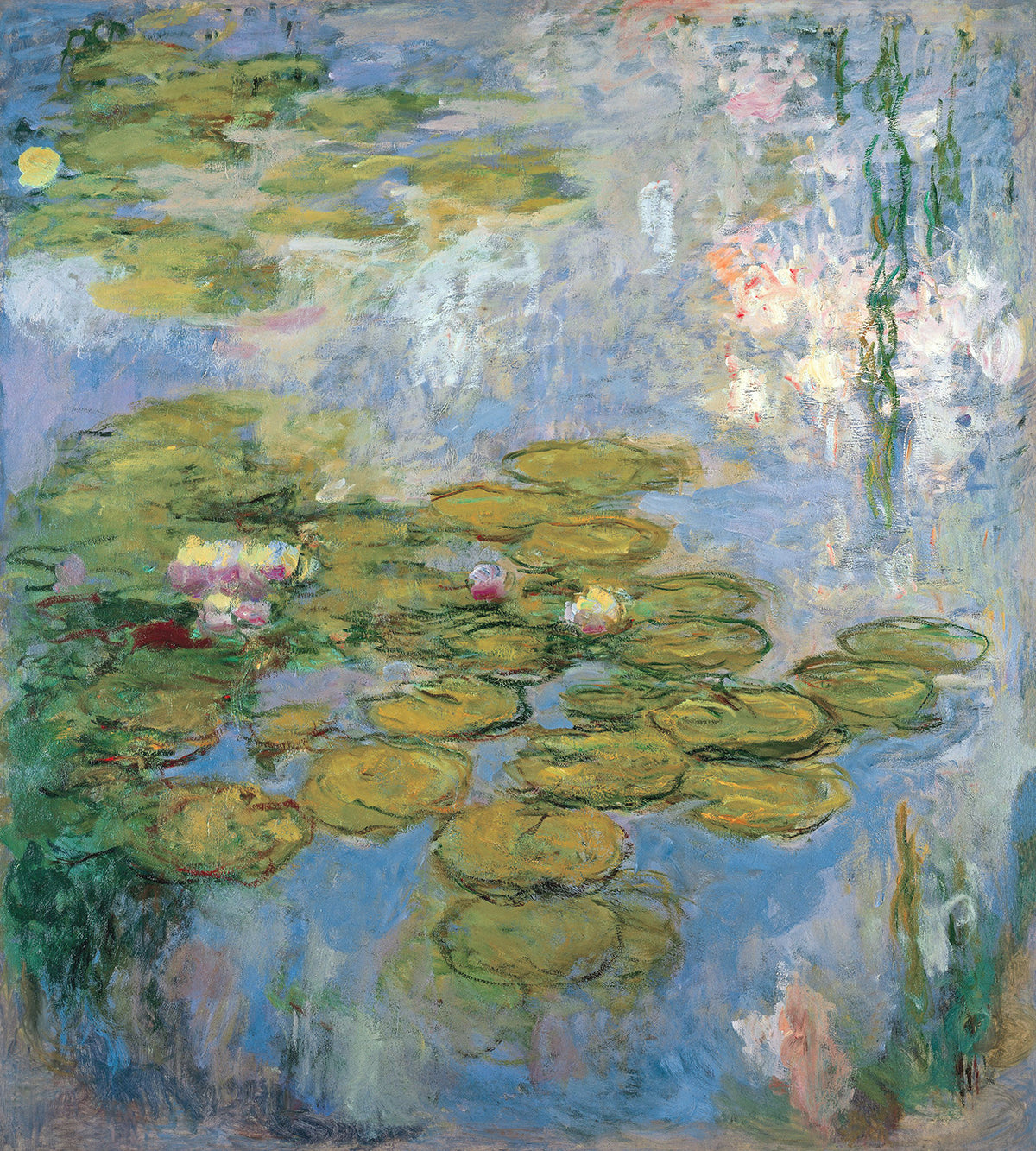 Seerosen (Nymphéas)