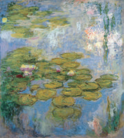 Seerosen (Nymphéas)